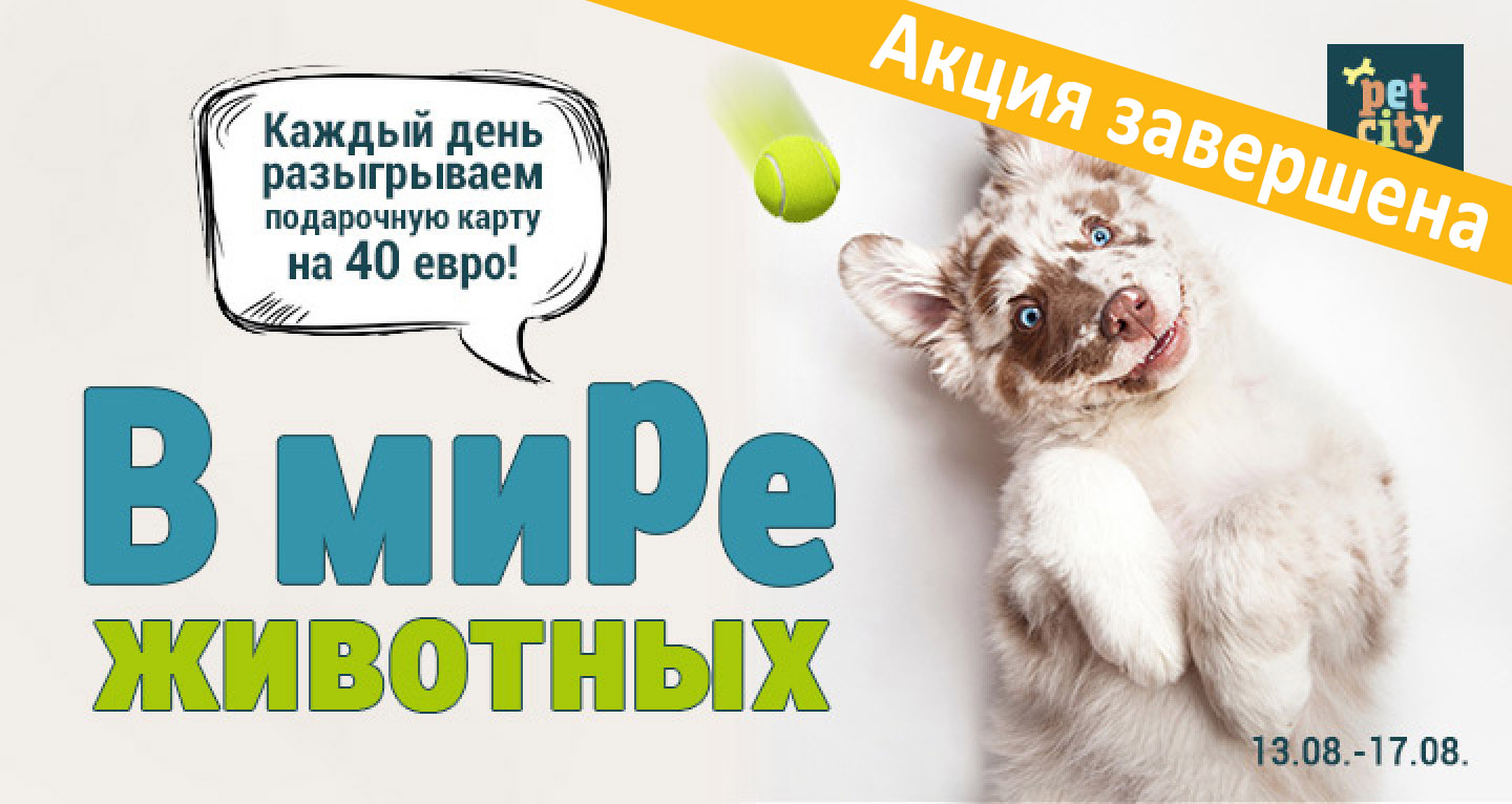 В мире животных