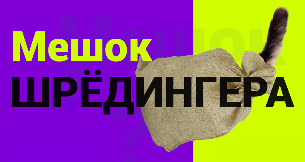 “Мешок Шрёдингера” в сотрудничестве с семечки “Latvijas valsts meži”